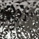 Revestimientos Pintecord BPC Agua 1.22X2.6M 5MM